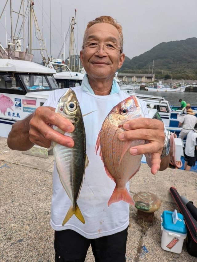 ハナダイ(チダイ)・アジ(マアジ)