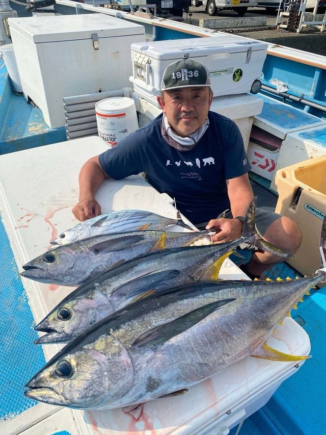 キハダ・キメジ(キハダ)・カツオ