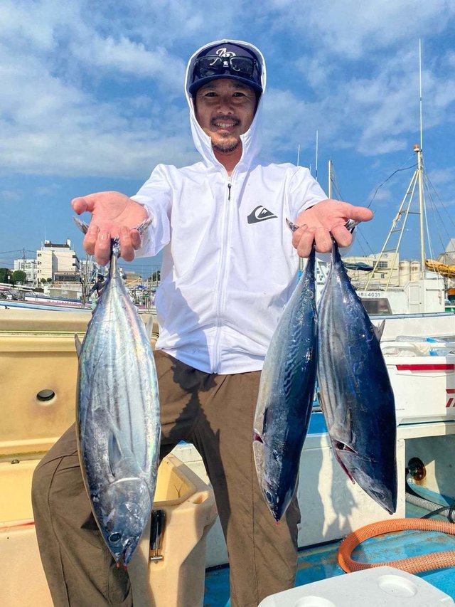 カツオ・ヒラソーダ(ヒラソウダ)