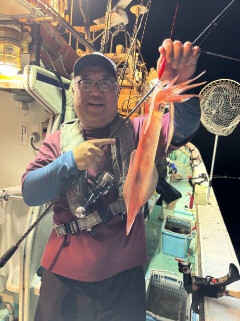 マイカ(ケンサキイカ)