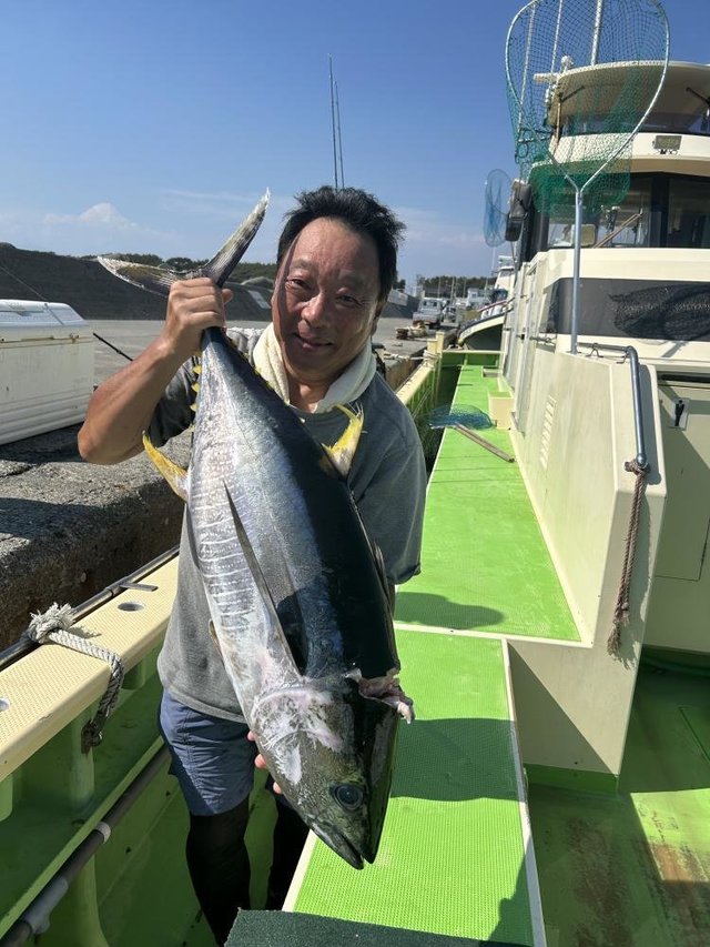 ホンガツオ(カツオ)