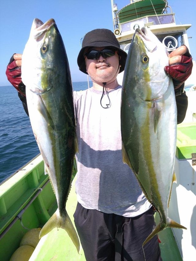 イナダ(ブリ)・ワラサ(ブリ)