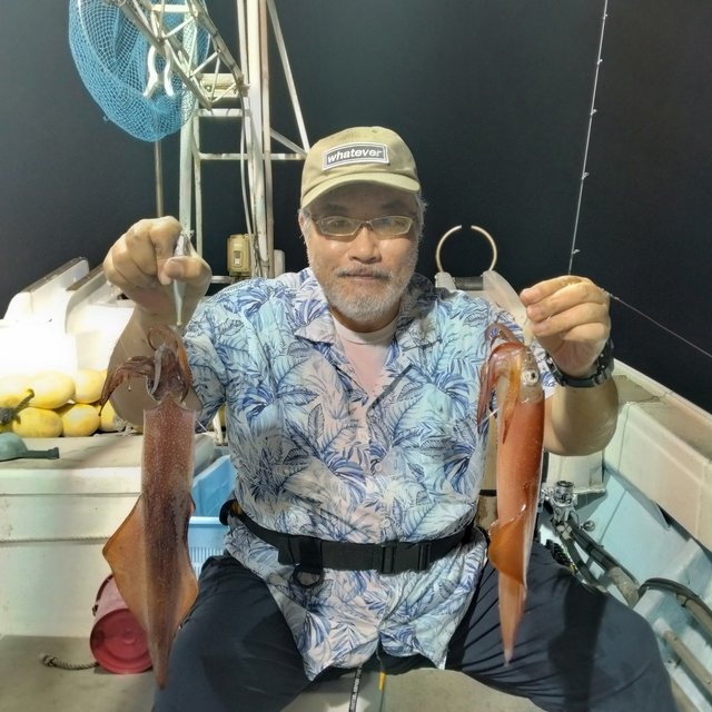 イカ(ヤリイカ)