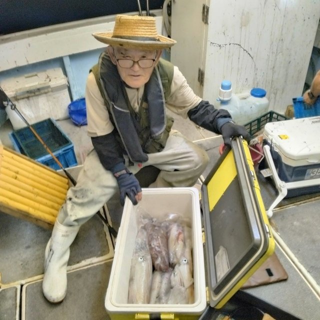 イカ(ヤリイカ)