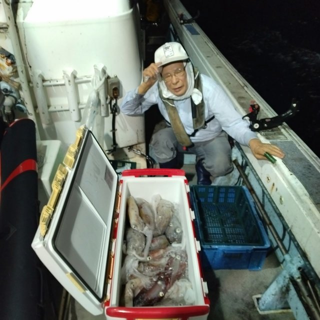 イカ(ヤリイカ)