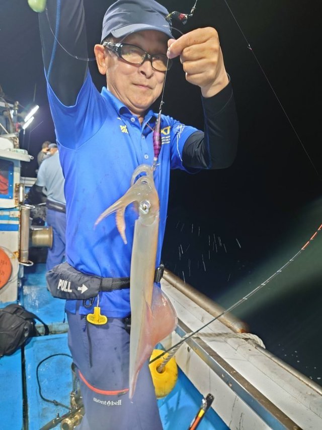 シロイカ(ケンサキイカ)