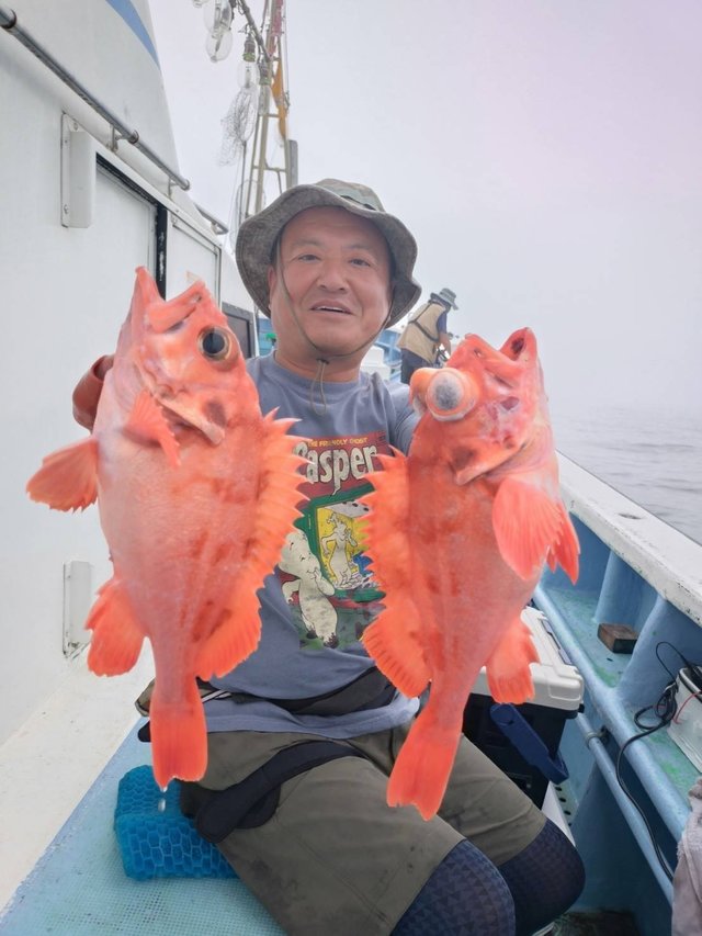 メヌケ(アコウダイ)