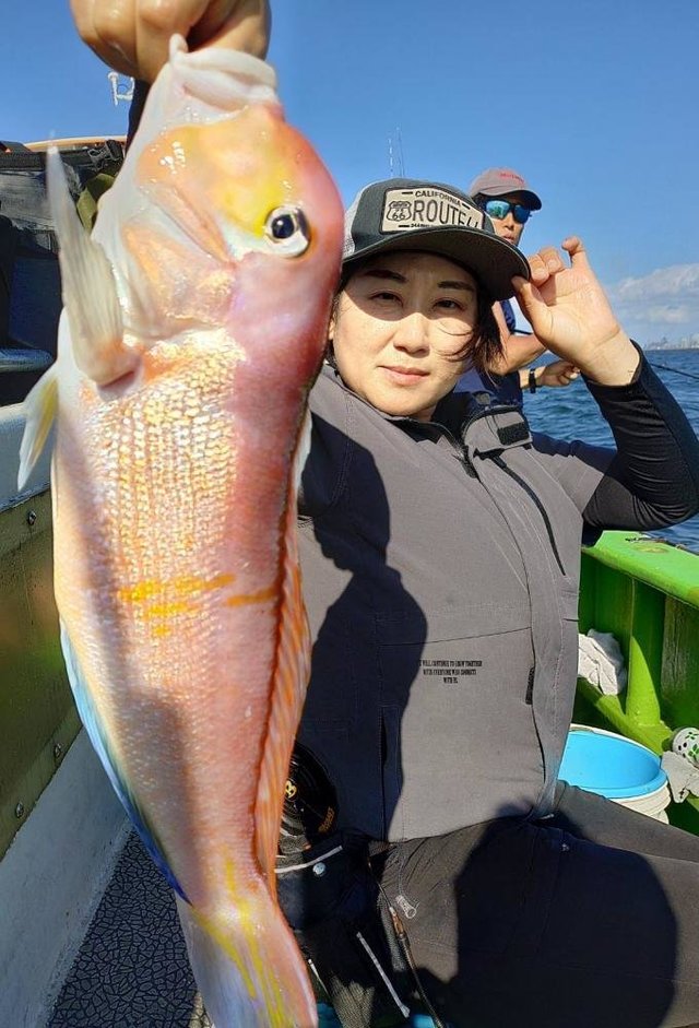 アマダイ(アカアマダイ)