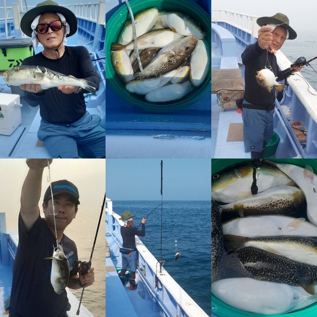 ショウサイフグ