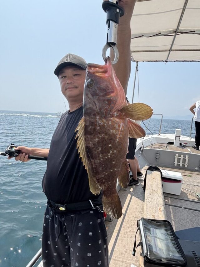 アコウ(キジハタ)