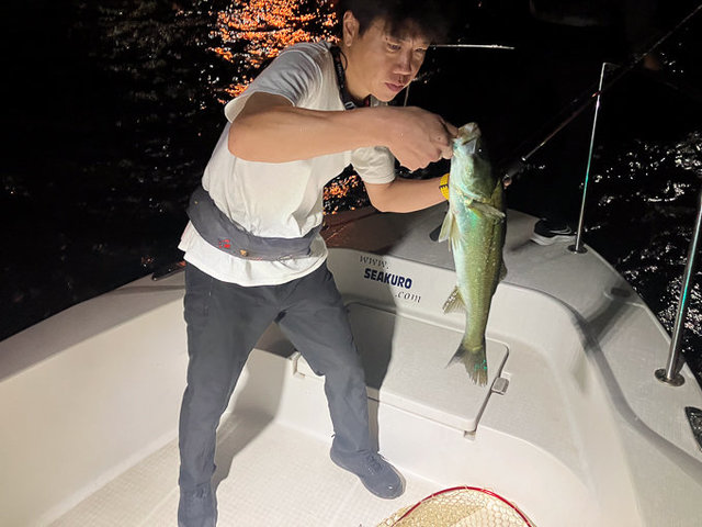 シーバス(スズキ)