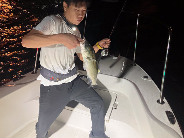 シーバス(スズキ)