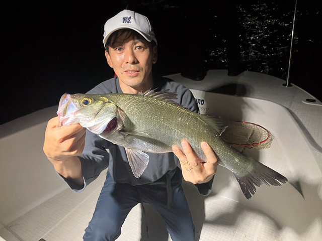 シーバス(スズキ)