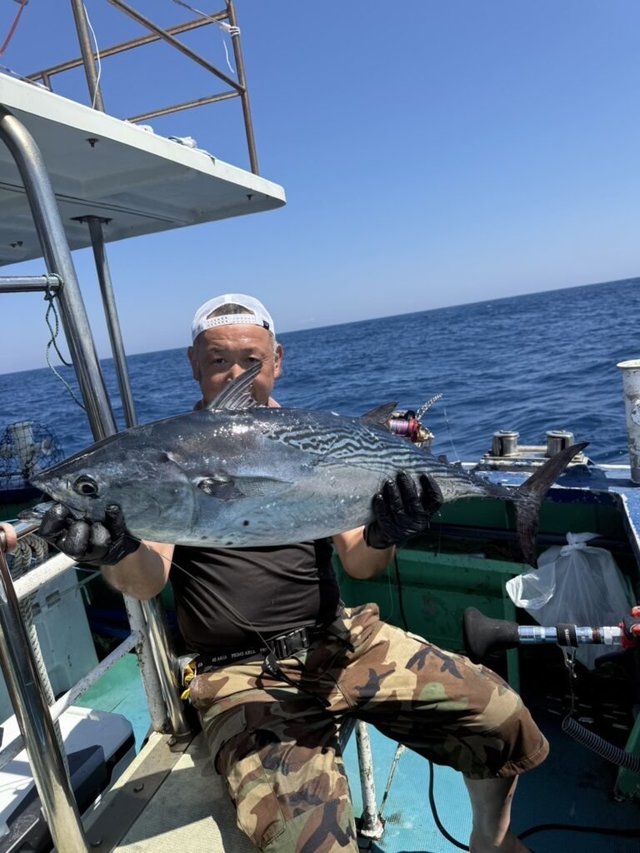 スマガツオ(スマ)