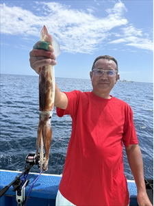 スルメ(スルメイカ)