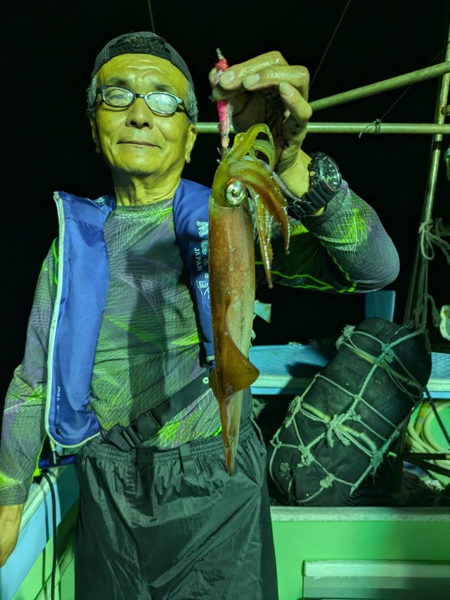 マイカ(ケンサキイカ)