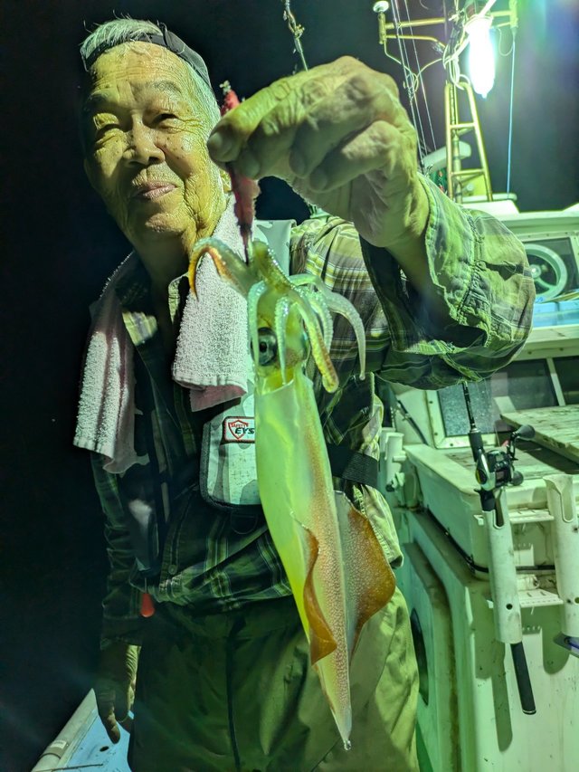 マイカ(ケンサキイカ)