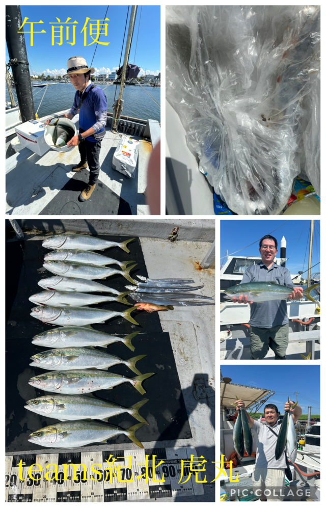 キジハタ・ハマチ(ブリ)・メジロ(ブリ)・タチウオ