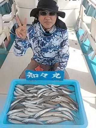 キス(シロギス)