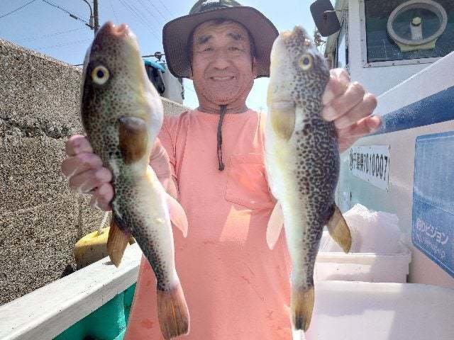 ショウサイフグ