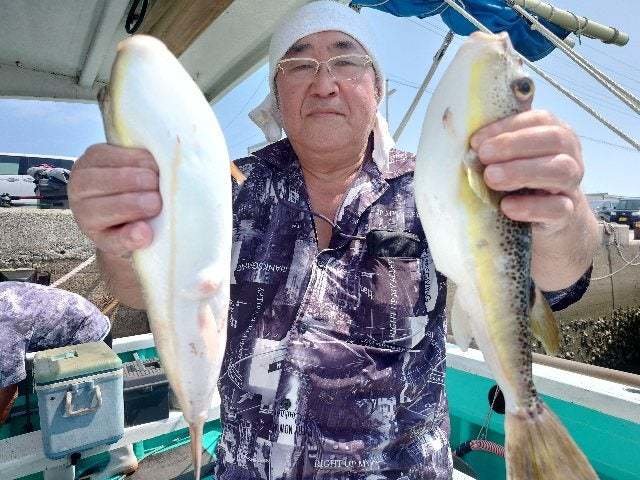 ショウサイフグ