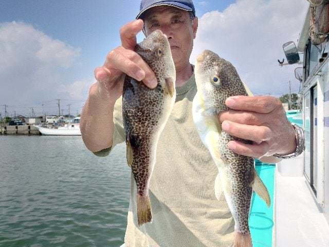 ショウサイフグ