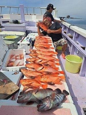 マハタ・キントキ(チカメキントキ)