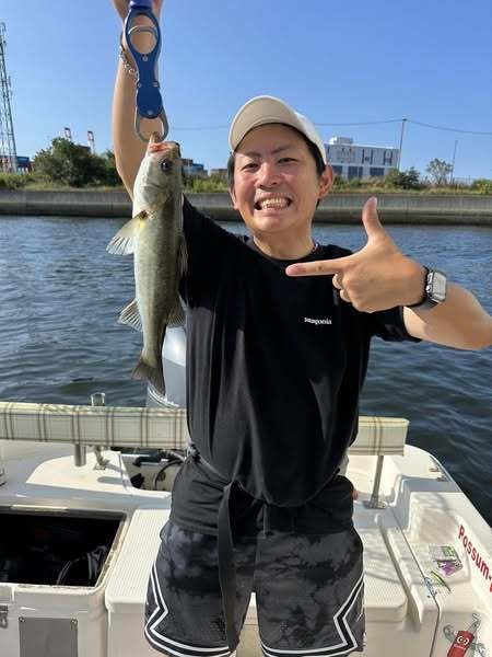 シーバス(スズキ)