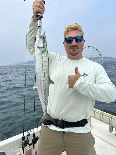 サゴシ(サワラ)