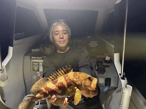 アコウ(キジハタ)