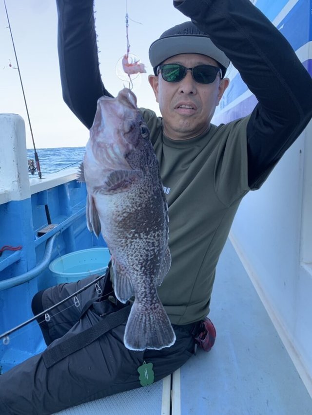 マゾイ(キツネメバル)