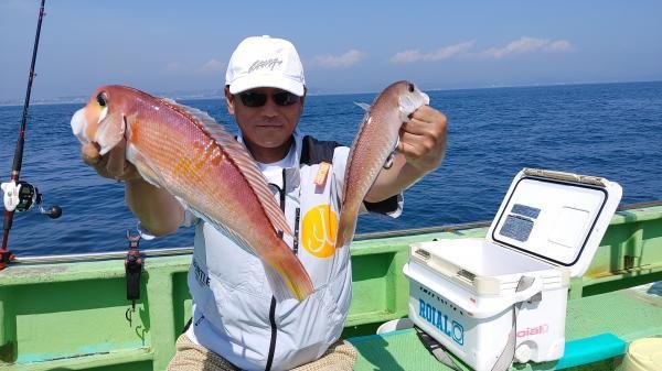 アマダイ(アカアマダイ)