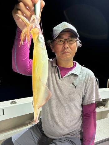 マイカ(ケンサキイカ)