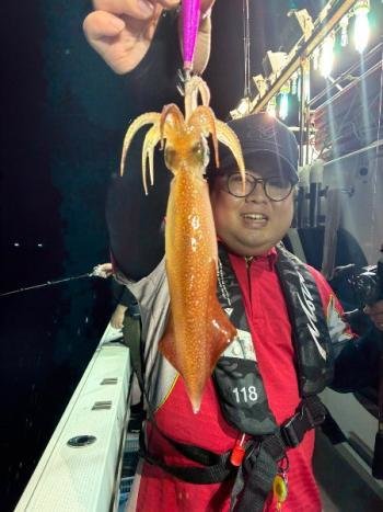 マイカ(ケンサキイカ)