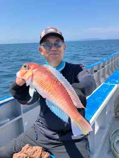 アマダイ(アカアマダイ)