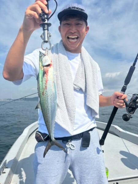 サゴシ(サワラ)