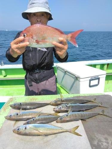 マダイ・アジ(マアジ)