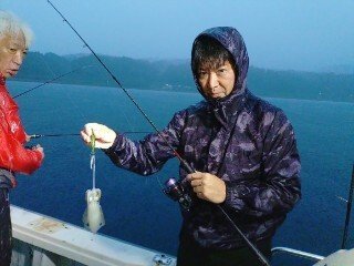 アオリ(アオリイカ)