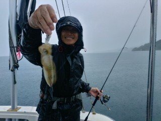 アオリ(アオリイカ)