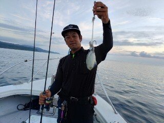 アオリ(アオリイカ)