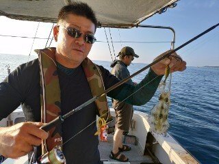 アオリ(アオリイカ)