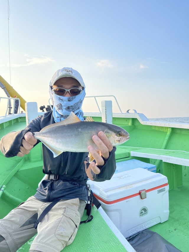 ショゴ(カンパチ)