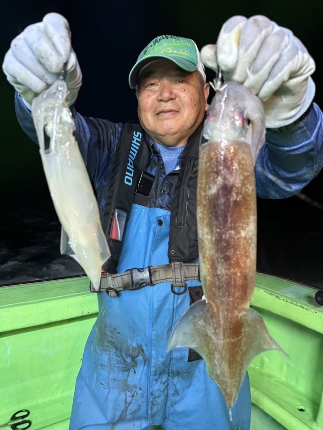 マルイカ(ケンサキイカ)