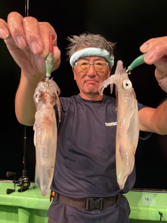 マルイカ(ケンサキイカ)