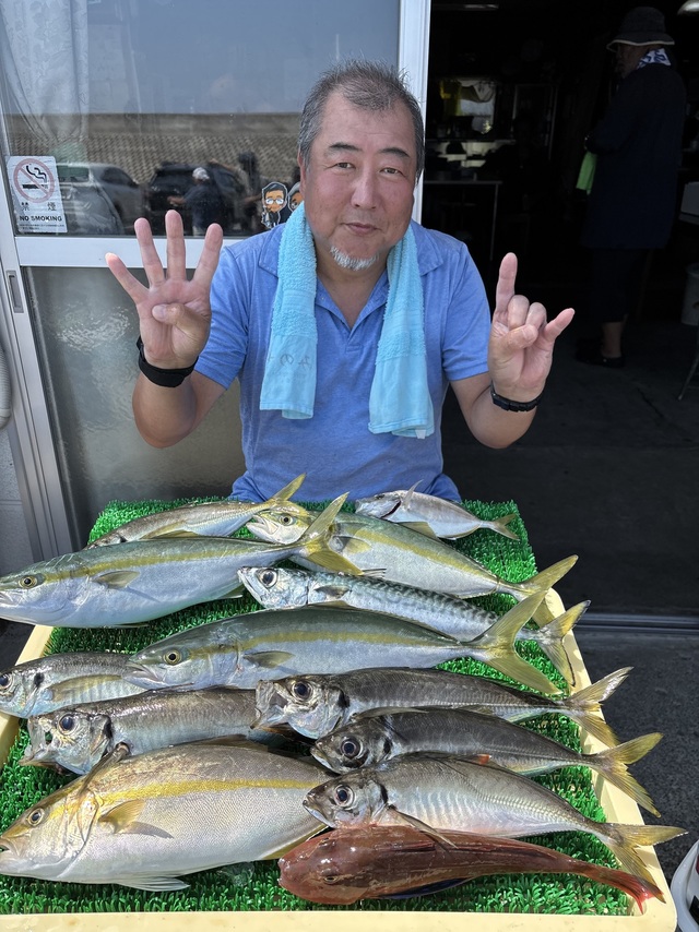 アジ(マアジ)・イナダ(ブリ)