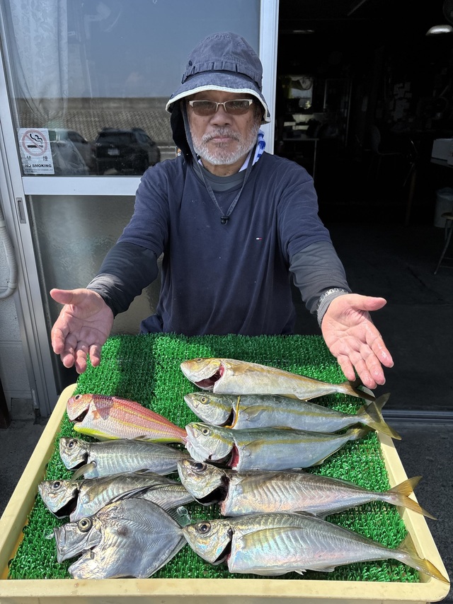 アジ(マアジ)・イナダ(ブリ)