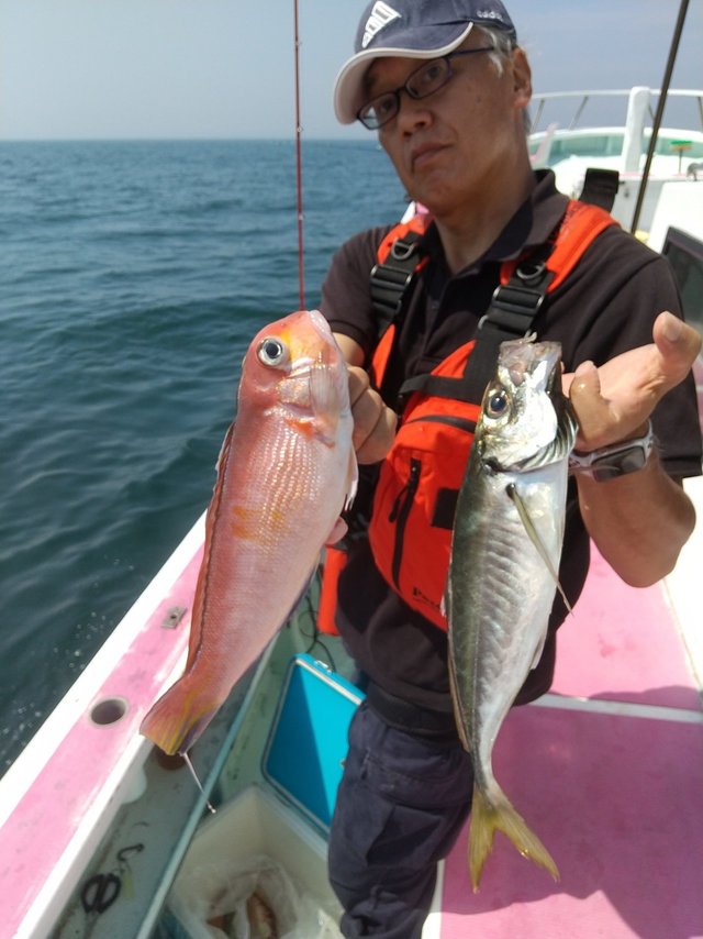 アジ(マアジ)・アマダイ(アカアマダイ)