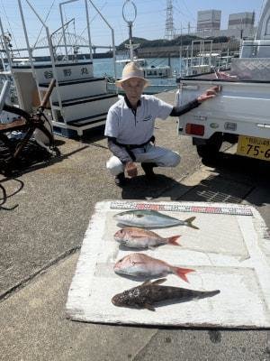 マダイ・ハマチ(ブリ)・コチ(マゴチ)