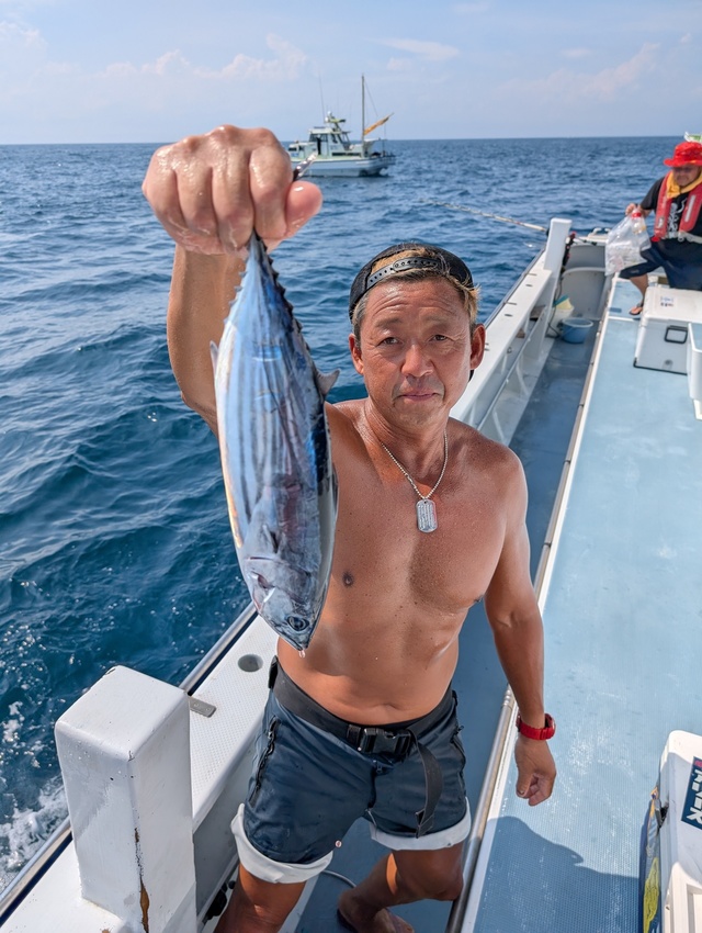 ホンガツオ(カツオ)