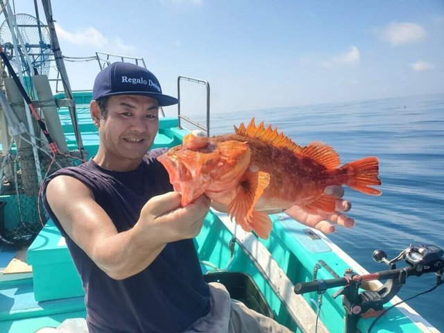 カンコ(ウッカリカサゴ)